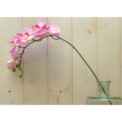 Kunstvlinderorchidee groot op steker roze - Warentuin Mix