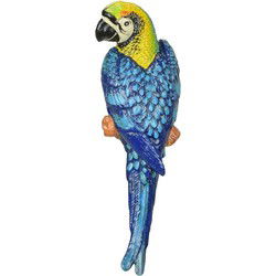 A CAST IRON WALL MOUNT BLUE AND YELLOW MACAW