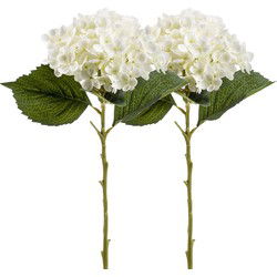 Emerald Kunstbloem hortensia tak - 2x - Annabelle - 52 cm - creme - Kunst zijdebloem - Hydrangea - Kunsttakken