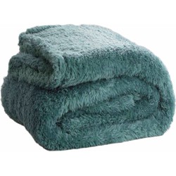 Teddy Fleece Deken - Ultrazacht - 130x170 - groen blauw