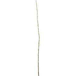 Greenmoods Kunstbloem Salix Wilg - Nep plant - 1 Stuk - 150cm  -