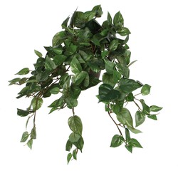 Mica Decorations Scindapsus Kunst Hangplant in Bloempot Stan - H45 x Ø25 cm - Groen