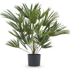 Kunstplant Baby Palm Fan in pot 50 cm