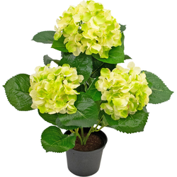 Hoyz Greenery - Kunstplant Hortensia Groen 35 cm