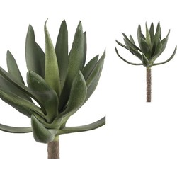PTMD Succulent Plant Agave Prikker - 13 x 18 x 22 cm - Groen