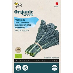 Organic Palmkool Nero di Toscana F1 (BIO) - Buzzy