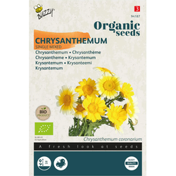Zaden chrysanthemum enkel 1 gram - Tuinplus