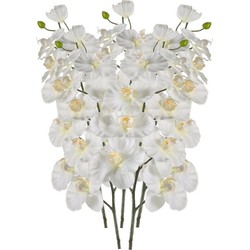 5x Phalaenopsis kunst tak 100 cm wit - Kunstbloemen