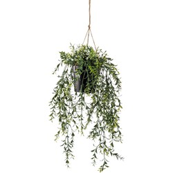Seidenpflanze Hängepflanze mit Topf Buxus Kunstpflanze Kollektion - Driesprong Collection