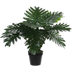 Mica Decorations philodendron in plastic pot maat in cm: 60 x 70