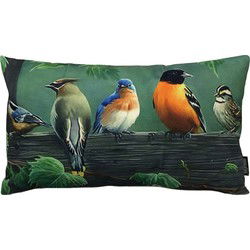 Sierkussen Painted Birds | 30 x 50 cm | Katoen/Linnen