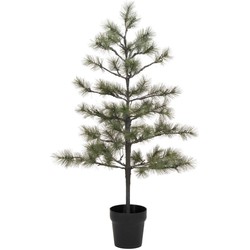 House Doctor Kerstboom Peuce natuur 125cm