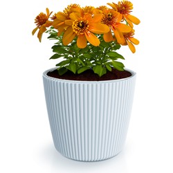 Prosperplast Plantenpot/bloempot Buckingham - kunststof - lichtgrijs - D17 x H15 cm - Plantenpotten