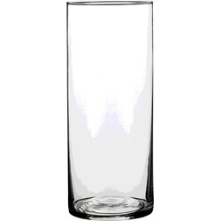1x Ronde glazen cilinder vaas/vazen transparant 25 cm lang - Vazen