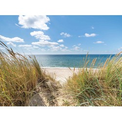 Strand duinen 70x50cm Tuinschilderij - Customize-it