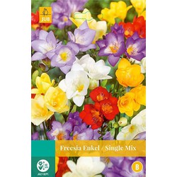 5 stuks - Freesia enkel mix 15 bollen