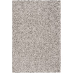 Safavieh Shaggy Indoor Woven Area Rug, Athens Shag Collection, SGA119, in Silver, 122 X 183 cm