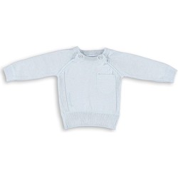 Baby's Only Truitje - lange mouw - Baby Blauw - 50/56 - 100% ecologisch katoen