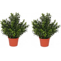 2x Buxus kunstplanten 31 cm - Kunstplanten