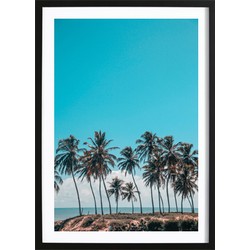 Palms And A Breeze Poster (21x29,7cm)