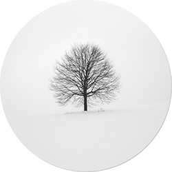 Muurcirkel Tree in Winter