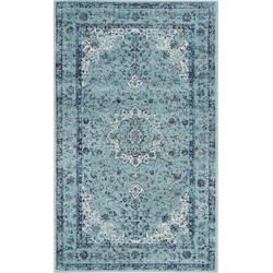 Safavieh Transitional Indoor Woven Area Rug, Evoke Collection, EVK220, in Light Blue & Light Blue, 122 X 183 cm