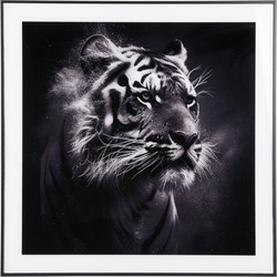 Wanddecoratie Tiger - Zwart - 2x50x50cm