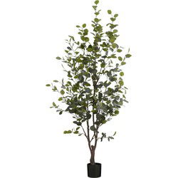 Mica Decorations Kunstboom Eucalyptus - 80x80x180 cm - Polyester - Groen