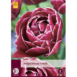 3 stuks - Tulipa Dream Touch 4 bollen