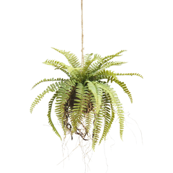 Hoyz Greenery - Kunst hangplant Varen op bal 76 cm