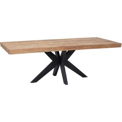 DTP Home Dining table Newton rectangular,77x220x100 cm, recycled teakwood