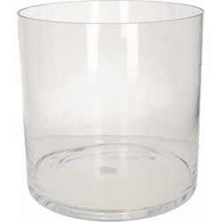 Glazen bloemen cylinder vaas/vazen 30 x 30 cm transparant - Vazen