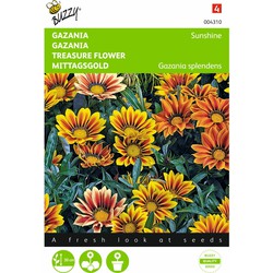 2 stuks - Gazania Splendens Hybrida Sunshine Gemengd