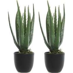 2x Groene aloe vera kunstplanten 35 cm met zwarte pot - Kunstplanten