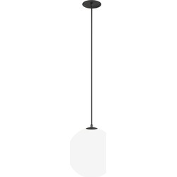 Maytoni Technical - Hanglamp Luna - Zwart en wit - Ø20