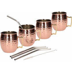 Set van 4 cocktailbekers met RVS rietjes - Cocktailglazen