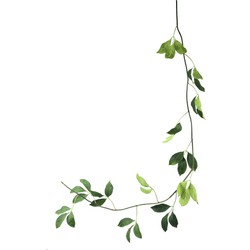 PTMD Kunstplant Jade - 260x43x280 cm - Polyester - Groen