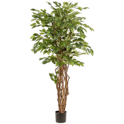 Kunst Ficus liana 170 cm