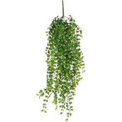 Mica Decorations Ficus Kunst Hangplant - H81 cm - Groen