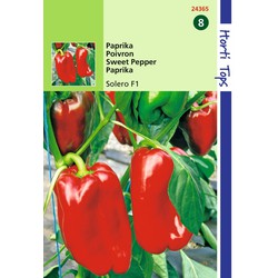 2 stuks - Paprika Reina F1