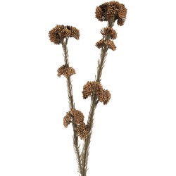 Clayre & Eef Kunstbloem 58 cm Bruin Kunststof