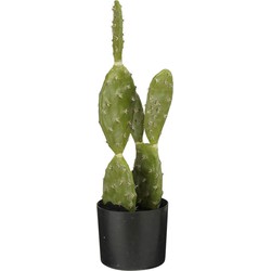Mica Decorations Cactus Kunstplant - 25x25x50 cm - Polyester - Groen
