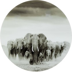 Kare Wandfoto Elephant Walk Ø120cm