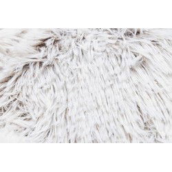 Kattenmand 50x50x20cm bge
