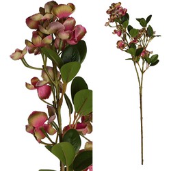 PTMD Garden Bloem Hydrangea Kunstbloem - 30,5 x 10,5 x 71,5 cm - Roze