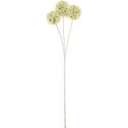 Housevitamin Allium - White/Green - 20x65cm