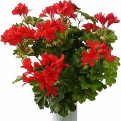 Set van 5x stuks kunst nep plant geranium rood 40 cm - Kunstplanten