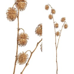 PTMD Twig Plant Kastanje Kunsttak - 50 x 40,5 x 96,5 cm - Bruin