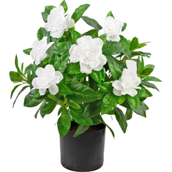 Hoyz Greenery - Kunstplant Gardenia 39 cm wit