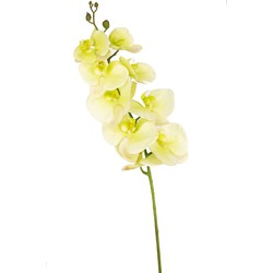 Kunst Orchidee Real Touch Deluxe 105 cm wit/geel